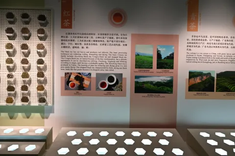杭州中国茶叶博物馆6