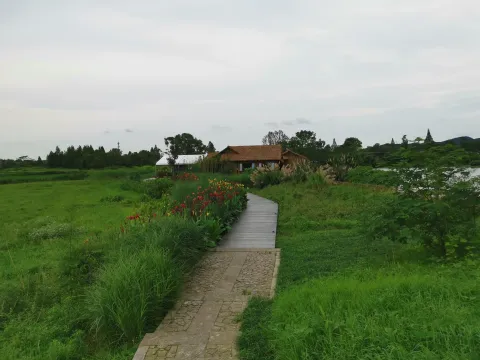 良渚遗址公园9