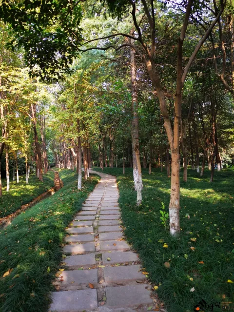 滨江公园一景