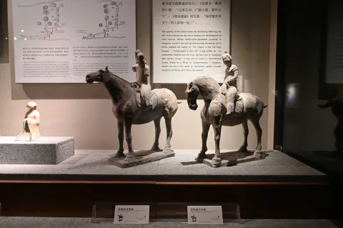 扬州博物馆展览品15