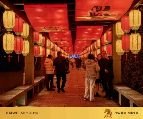 玉环漩门湾农业观光园灯会18