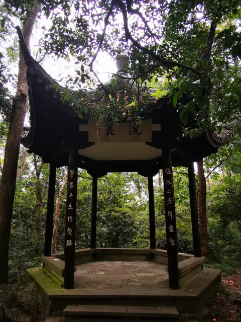 龙井路，龙井问茶，寻龙井古址