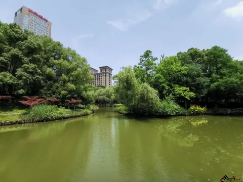钱江新城森林公园