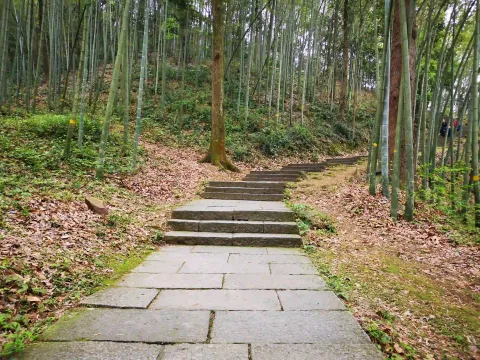 五云山68