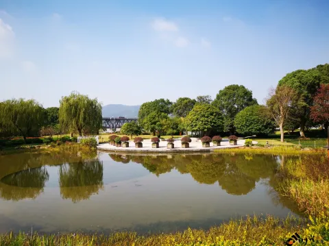 钱塘江大桥南岸的公园景色