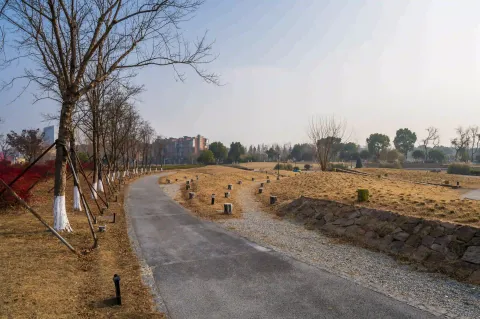 西山漾城市湿地公园12