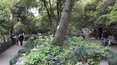 紫来洞3