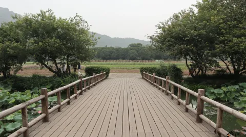 玉皇山下八卦田的景色