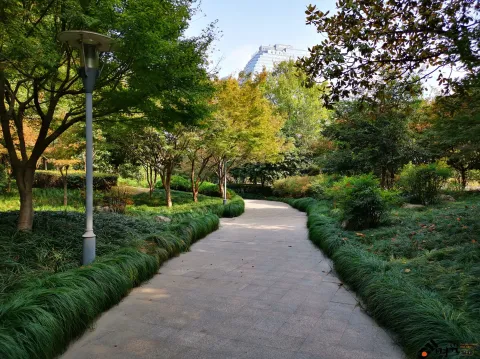 滨江公园一景