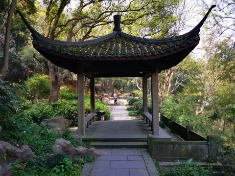 虎跑泉