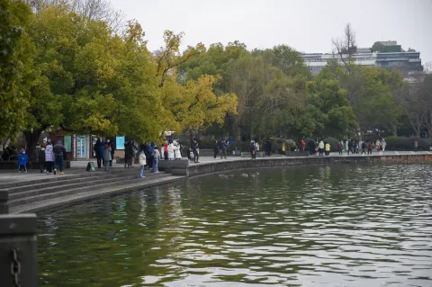 西湖景色7