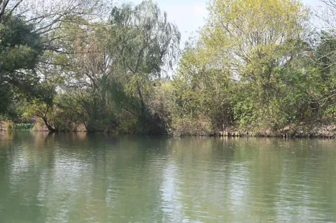 西溪湿地9