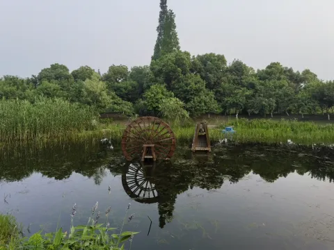 长田漾湿地公园3