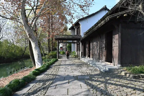 西溪湿地12