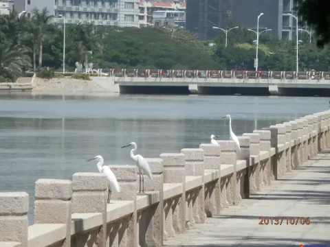 厦门白鹭洲公园