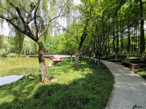 钱江新城森林公园