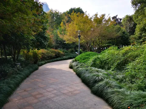 滨江公园一景