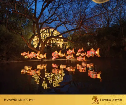 夜色中坐摇橹船赏灯13