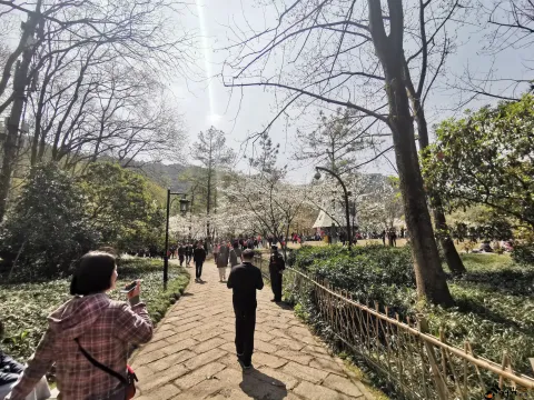 游玩太子湾公园的游人如潮