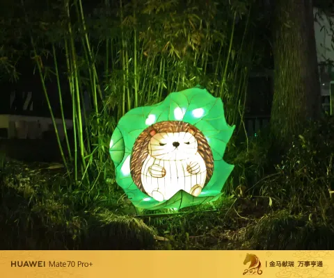 夜色中坐摇橹船赏灯21