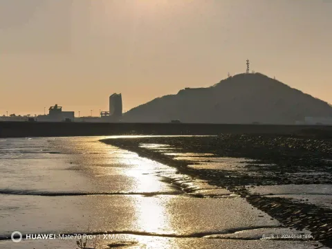 薄刀嘴滩涂堤坝11