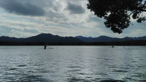 三潭印月