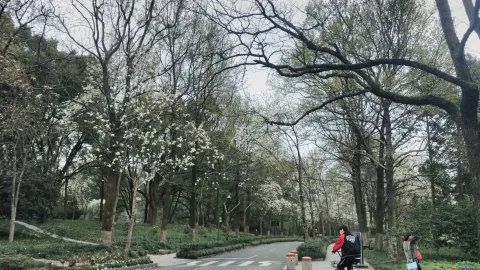 玉古路景色