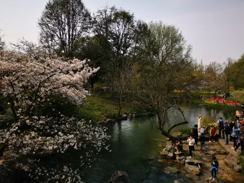 太子湾踏春34