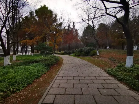 湘湖行人走道