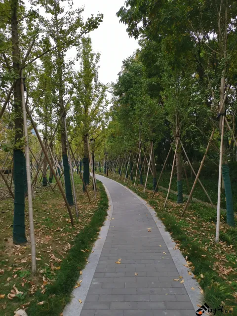 钱江南岸步行道