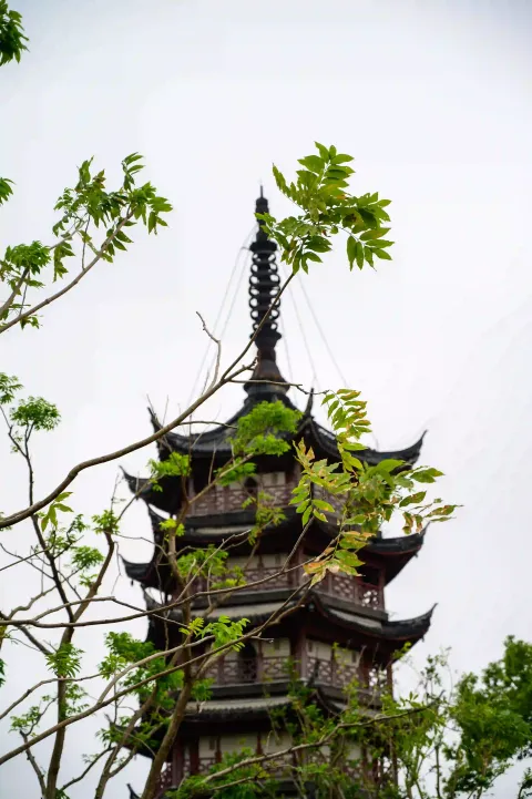 盐官观潮胜地公园13
