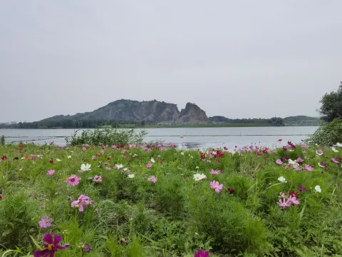 西山漾9