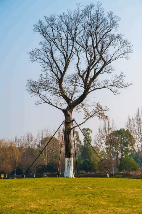 长田漾湿地公园17