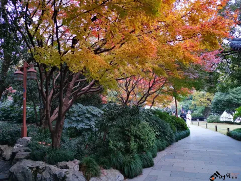 西湖，北山街南侧的景色