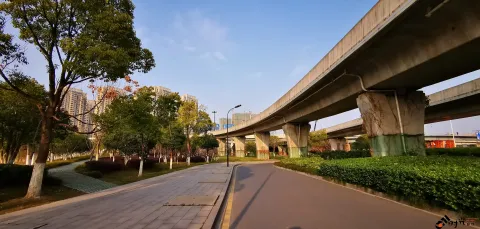 西兴大桥高1