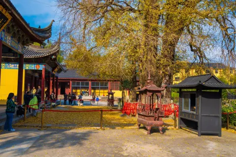 湖州仙顶寺4