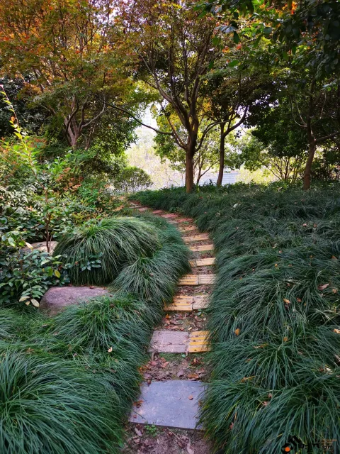 滨江公园一景