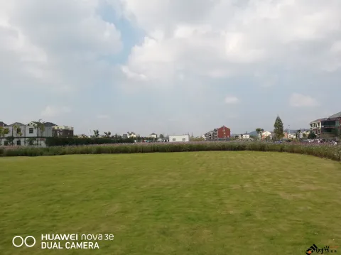 三墩兰里生态园