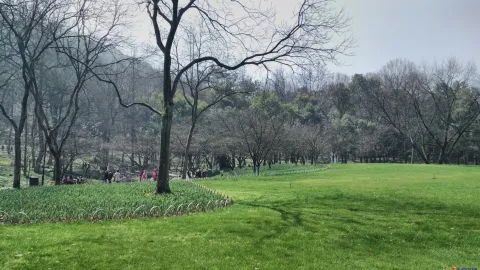 太子湾公园