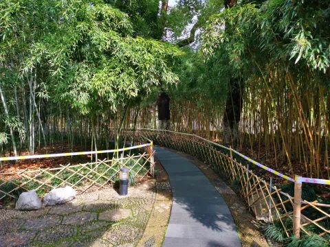 小瀛洲20