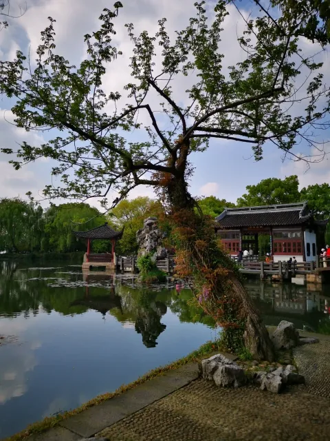 小瀛洲17
