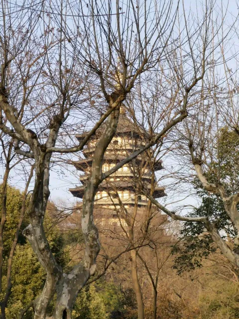 雷峰塔3