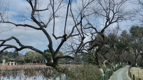 小瀛洲岛上风景