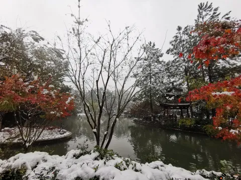 西湖边的雪景