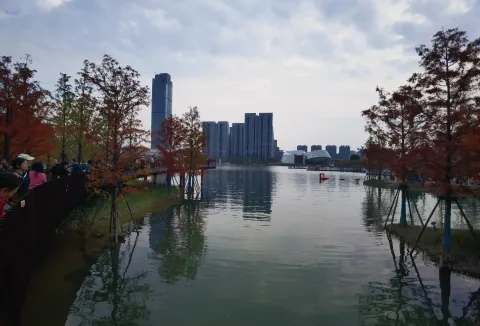 玉湖YOHOOPARK10