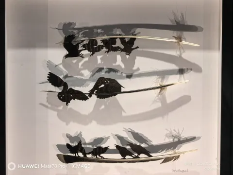 自然之美12