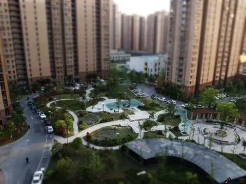 小区内的景色