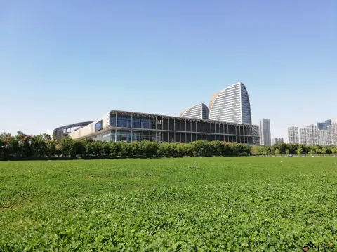 博览中心周边景色
