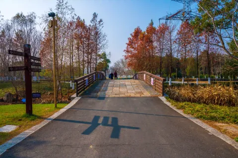 长田漾湿地公园12
