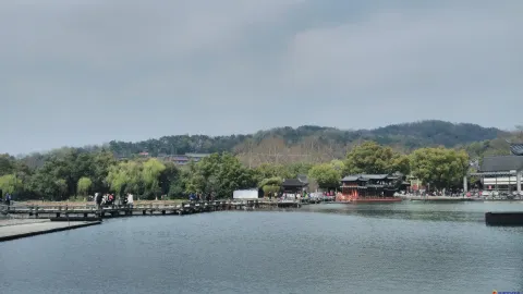 曲院风荷